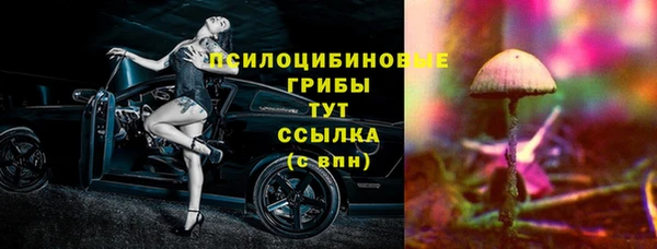 шишки Абаза