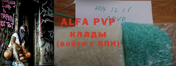 шишки Абаза