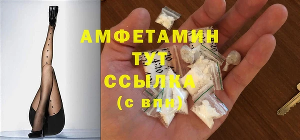 шишки Абаза