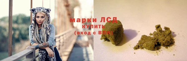 шишки Абаза