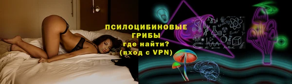 шишки Абаза