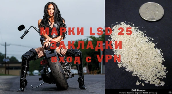 шишки Абаза
