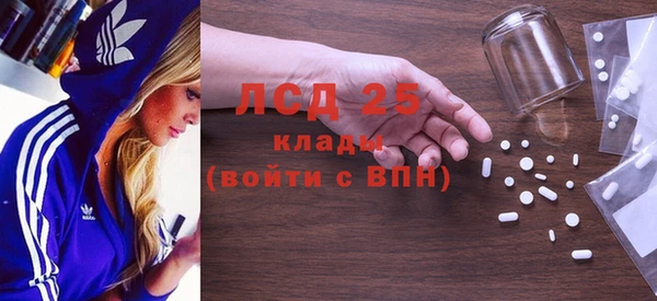 шишки Абаза