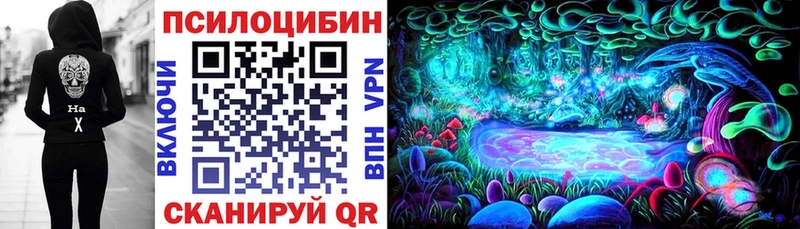 сколько стоит Нижнекамск Псилоцибиновые грибы GOLDEN TEACHER