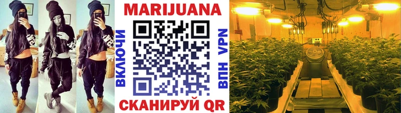Бошки Шишки SATIVA & INDICA  хочу   Нижнекамск 